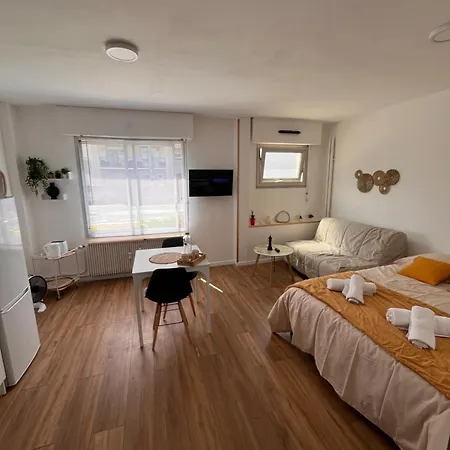 Hypercentre - 4 Pers - Parking Prive Apartment *