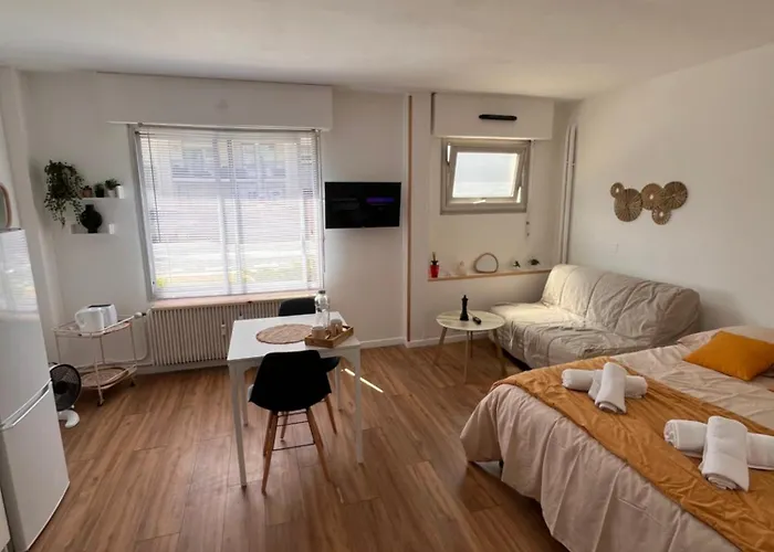 Hypercentre - 4 Pers - Parking Prive 公寓 *