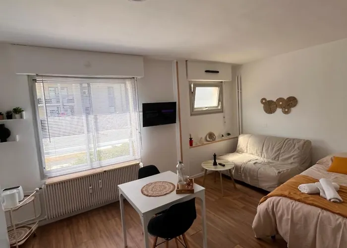 公寓 Hypercentre - 4 Pers - Parking Prive 贝休恩